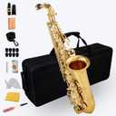 Gold E Flat Alto Saxophone Brass Engraved Eb E-Flat Natural White Shell Button Wind Instrument with Case Belt Brush