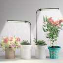 LED Grow Light 2 Pack, 6000K White Full Spectrum 144 LED Gooseneck Growing Lamp for Indoor Plants Growth,4 8 12 18Hrs Timer & Brightness Changeable,Insert Pole Extendable 4-10''