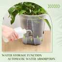 Wonderjune Self Watering Pots for Indoor Plants with Deep Reservoir and High Drainage Holes for Outdoor Plants and Flowers, Bare Root Planter(8.27'',Clear,6 Pcs)