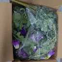 Yastouay Artificial Flowers for Outdoors, 2PCS Artificial Petunias UV Resistant Fake Outdoor Flowers, Realistic Faux Flowers Fake Silk Petunias for Outside Garden Porch Patio Yard Decor, Purple