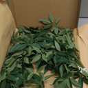 Ling's Moment Rosa Banksiae Artificial Vines, Pack of 7 Silk Greenery Garlands with Hanging Faux Laurel Leaves for Table Centerpieces, Wedding Arches & Floral Filler Arrangements