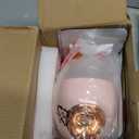 Facial Steamer Spa Kit with 17 Skin Care Tools, Nano Ionic Face Steamer for Deep Cleaning Unclogs Pores, Warm Mist Humidifier Steamer for Face Home Sauna SPA, Self Care Gifts for Women