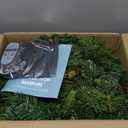 SHareconn 9FT Prelit Greenery Christmas Garland with Pine Cones Decorations and Multi-Color LED Lights Plug in, Lighted Garland for Mantle Fireplace Table Indoor Xmas Decor, 9 FT