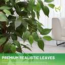 Curved Leaf 5FT Artificial Ficus Tree with White Plante UV Resistant
