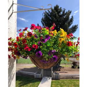 Artificial Faux Hanging Plants Flowers Basket for Summer Autumn, Colorful Daisy Flowers Eucalyptus UV Resistant Look Real for Outdoor Outside Porch Decoration