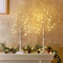 PEIDUO Christmas Decorations Indoor, 2 FT Birch Tree with LED Lights, Fairy Light Spirit Tree for Christmas Decor, Warm White Lighted Birch Trees for Home Decor Indoor, Battery Powered, Timer (2PK)
