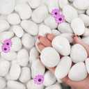 NUPICK 12lb White River Rocks for Plants Indoor, 1-2Inch Pebbles for Vases Fillers, Decorative Gravel for Fish Tank, Natural Polished Stones for Succulent, Bonsai, Landscaping, Bird Baths