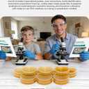 6 Packs Agar Petri Dishes Home Mold Test Kit, Science Project Kit, Mushroom Grow, Potato Dextrose Agar Plates Test HVAC System,Home Surfaces, Air Quality Includes Detailed Mold Identification Guide