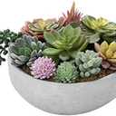 Amazon.com: MyGift 8 Inch Round Modern Artificial Succulent Arrangement Potted in Gray Concrete Plant Bowl, Assorted Faux Mini Succulents in a Decorative Planter Pot : Home & Kitchen
