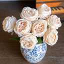 DUYONE Fake Flowers for Decoration Home Decor Artificial Flowers Austin Rose Peony Latex Fake Flower Living Room Decoration Vivid Pink Roses Peonies (Champagne 4pcs)