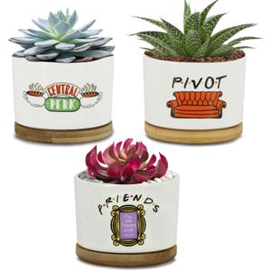 KONROOWEI 3 Pcs Friends tv Show Cute Merchandise Ceramic Plant Pots,Funny Friends Decor Themed Gifts for Women,for House Plants Garden Planters Succulent Pots(Not Included Plants) (White)