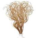 Glitter Curly Ting Ting Branches Christmas Branches Vase Filler Artificial Curly Twigs for Christmas Tree Garland Wreath Decoration, Craft Vases Home Garden Decoration (Champagne Gold, 36 Pieces)