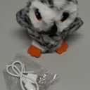 Potaroma Flapping Owl Cat Toys (No Flying), Lifelike Bird Chirp, Rechargeable Touch Activated Kitten Toy, Interactive Catnip Kicker Exercise Toys 4.0" for All Breeds