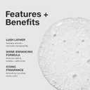 Paul Mitchell Awapuhi Shampoo, Balances Moisture + Adds Shine, For All Hair Types, Especially Fine + Static-Prone Hair