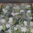 10 x White Peonies Artificial Flowers Faux Peony Bouquet Fake White Flowers for Vase Silk Floral Arrangements for Table Centerpiece Wedding Decoration Indoor Home Decor