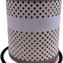 BNAGTE 835817M91 Oil Filter 51010 Compatible with Massey Ferguson Tractor 302 304 and 35 Perkins Diesel engine 3.3L 4 cylinder,2.5L 3 cylinder Replace 86546 APN6731B 51010