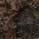 ABH AMAZINGBEAUTY HAIR Kinkys Curly Clip in Hair Extensions 3C and 4A Double Wefts Real Remy Human Hair Curly Clip ins for African Americans 120 Grams, #1BT1BP27 Rooted Highlight Blonde Color 16 Inch