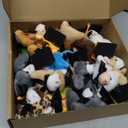 Arrowbash 24 Sets Mini Graduation Stuffed Animal Plush Toy with Gifts Box, Preschool Kindergarten Graduation Gifts Bear Animals with Cap for Class of 2026 Congrats Grad Exchange Gift Party School