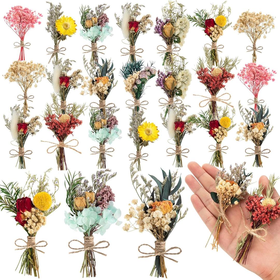 20 Pcs Dried Flowers for Crafts, Mini Dried Flowers Bouquet Bulk for Vase DIY Small Photo Bridesmaid Gift Birthday Decor