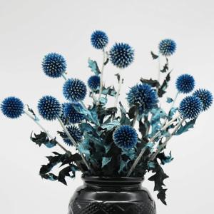 20+ Balls Dried Blue Green Thistle Flowers Bouquet - 15" Preserved Echinops Globe Flower for Wedding, Boho Party, Home Decor, Table Center, DIY Floral Arrangements, Present Box Decorations, Dry Flower