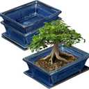 Villa Como Bonsai Pots Small Shallow Succulent Planters for Live Bonsai Trees Set of 2, 7.5" Ceramic Pot for Succulents Indoor with Drainage Hole and Saucer, Outdoor Cactus Plant Bonsai Pot (Blue)