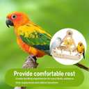 Bird Stand Perch Toy,Interactive Rocking Parakeet Toy and Perch, Wooden Exercise Wheel Cockatiel Toy, Intelligence Puzzle Enrichment Toys,Bird Playground Play Stands for Conure Budgie(C)