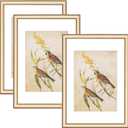 3.5x5 Picture Frame Set of 3, Matte Brass Modern Thin Aluminum Metal Photo Frame with HD Glass, Fits 2.5x3.5 with Mat or 3.5 x 5 without Mat, for Tabletop and Wall Mounting