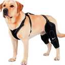 REBORN Dog Double Knee Brace for Torn ACL, CCL & Luxating Patella, Adjustable Back Leg Support & Recovery, Hind Leg Brace for Stability, Arthritis, Injury & Joint Pain Relief, Medium