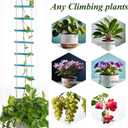 Blue Chain Trellis for Climbing Plants Indoor - Durable Natural Wood Design for Pothos and Ivy Support - Decorative Decorative Wall Feature for Home and Garden