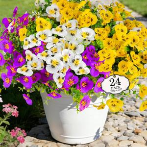 Alotiki Artificial Pansies for Outdoors, 24 Pack Silk Flowers UV Resistant