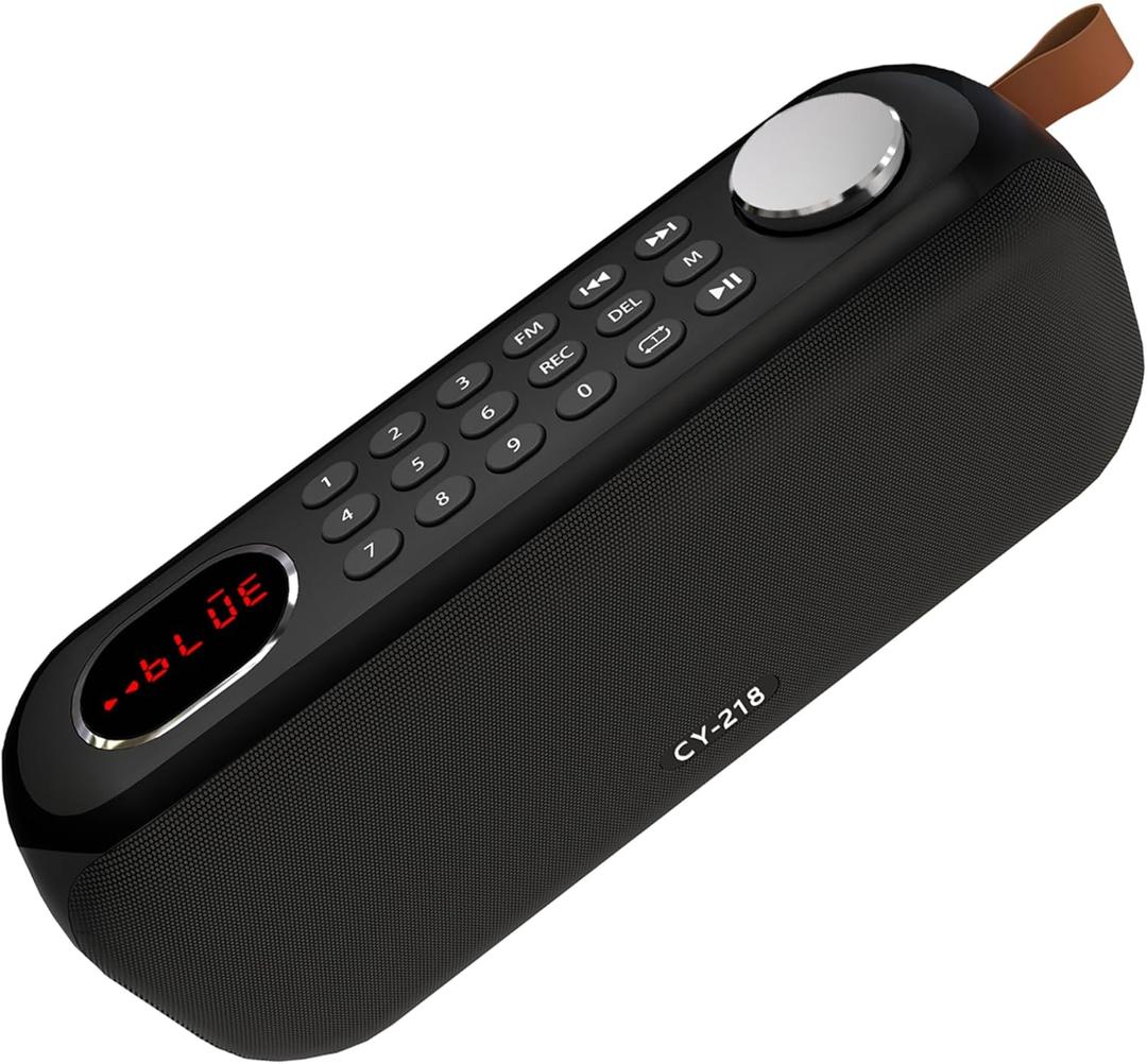 Portable Bluetooth Speaker FM Radio Digital, Support USB/SD Card MP3 Music Player/AUX/REC, Build-in 3000mAh Rechargeable Battery, 10W Powerful Speaker and Earphone Jack for Indoor Outdoor (Black)