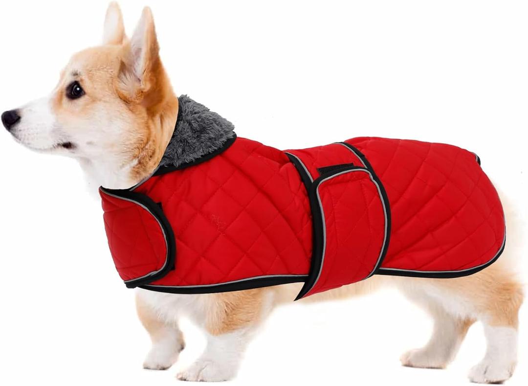 Geyecete Corgi Sweater for Dogs Warm Thermal Quilted Corgi Coat,Dog Winter Coat with Warm Fleece Lining,Outdoor Corgi Clothes Dog Apparel Red-XS