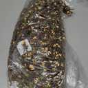 Pip Garland 4Ft Coffee Bean