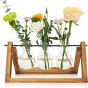 Plant Propagation Station with Wooden Stand,Mothers Day Plant Gifts for Mom,Plant Lovers,Birthday Gifts for Women,Plant Terrarium for Home Office Mothers Day Decorations-3 Bulb Vases