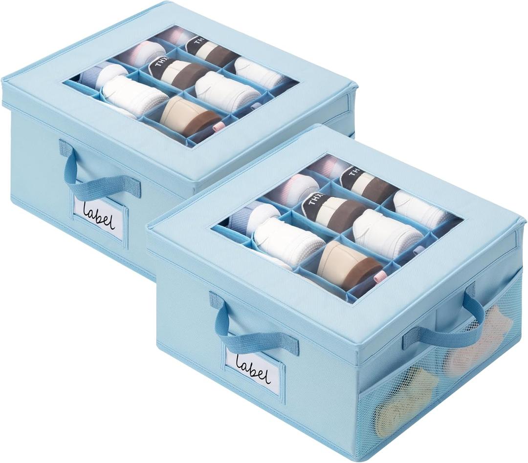 GRANNY SAYS Shoe Organizer for Closet, Fits up to 8 Pairs, 2 Pack Shoe Cubby Storage Containers with Side Mesh Pocket and Flip-Top Lids, Blue (Max Foot Length: 6")
