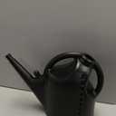 Amazon Basics, Watering Can, Black, 2.64 Gallon Capacity