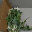 8PCS Artificial Delphinium White Flowers with Clematis Greenery Long Stem Artificial Flowers Cream for Tall Vase for Home Wedding Floral Arrangement Centerpiece Table Decor (Cream White)