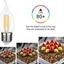 Flame Shape LED Chandelier - 4 Watt Equivalent 40W LED Candelabra Bulbs, Warm White 450LM, Dimmable - E26 Base, 6 Pack