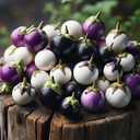 7 x 30+ Seeds Eggplant Round Mix - Vegetable Multicolor
