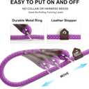 Fida Durable Slip Lead Dog Leash, 6 FT x 3/8" Heavy Duty Comfortable Strong Rope Slip Lead for Small Dogs and Puppies, No Pull Pet Training Leash with Highly Reflective(3/8", Purple)