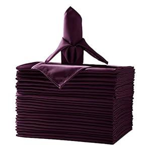 25pcs Polyester Cloth Napkins - 20 x 20 inch Willow Washable Dinner Napkins with Hemmed Edges for Restaurant/Wedding/Hotel(25, Eggplant)