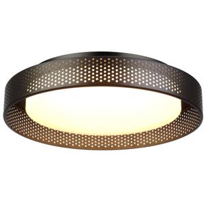 Dsyan HOME 13inch Rustic Flush Mount Ceiling Light Fixture,Black Cage Led Close to Ceiling Light, 24W Minimalist Dimmable 5CCT 3000-6000K Ceiling Lamp,for Bedroom,Kitchen, Laundry,Hallway