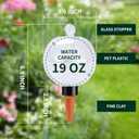 Soilagua 19 oz Extra Large Plant Self Watering Globes Top Fill, Plastic Water Bulbs, Slow Release Terracotta Self Watering Planter Insert, Plant Watering Devices System, Water Spikes Stakes, 4 Pack
