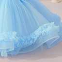 Baby Flower Girl One Shoulder Formal Wedding Dress 6M 9M 1st 2nd 3rd 4th 5t Birthday Cake Smash Outfits Floral Embroidery Toddler Tea Party Pageant Prom Bridesmaid Ball Gown Sky Blue 9-12 Months