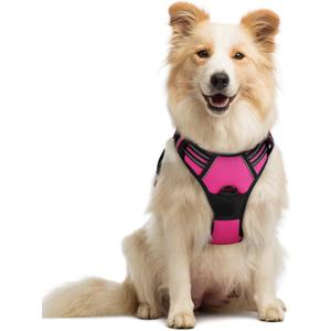 rabbitgoo Dog Harness No Pull with 2 Leash Clips, Adjustable Soft Padded, Reflective Oxford No Choke Pet Vest with Easy Control Handle for Medium Sized Dogs, Hot Pink, M