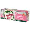 2 x Canada Dry Fruit Splash Strawberry Ginger Ale Zero Sugar Soda, 12 fl oz cans, 12 pack (EXP 08/03/26)
