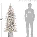 Puleo International 6ft Pre-Lit Potted Flocked Arctic Fir Pencil Christmas Tree with 120 Warm White Lights, 1325 Realistic Dense Snow Flocked Branch Tips, Easy Setup Artificial Trees with Sturdy Stand