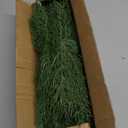 Hananona Artificial Pine Branches, 80 Pcs Christmas Faux Cedar Stems, Artificial Faux Cedar Branches, Fake Christmas Greenery Pine Picks for Wreath Craft DIY Home Kitchen Decorations (80, Green)