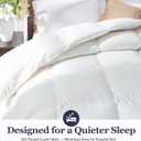 Globon Ultra-Soft Down Feather Comforter Queen Size,Luxurious Fluffy Hotel Collection Duvet Insert for All Season,Noiseless Shell,700 Filling Power,Medium Weight with Corner Tabs, White