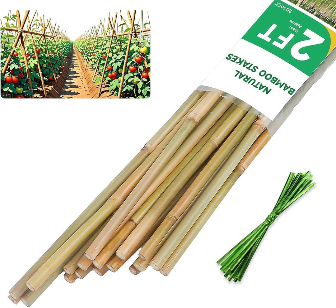 2ft Natural Bamboo Plant Stakes for Tomatoes, Beans, Flowers, Potted, Climbing Plants 30pcs